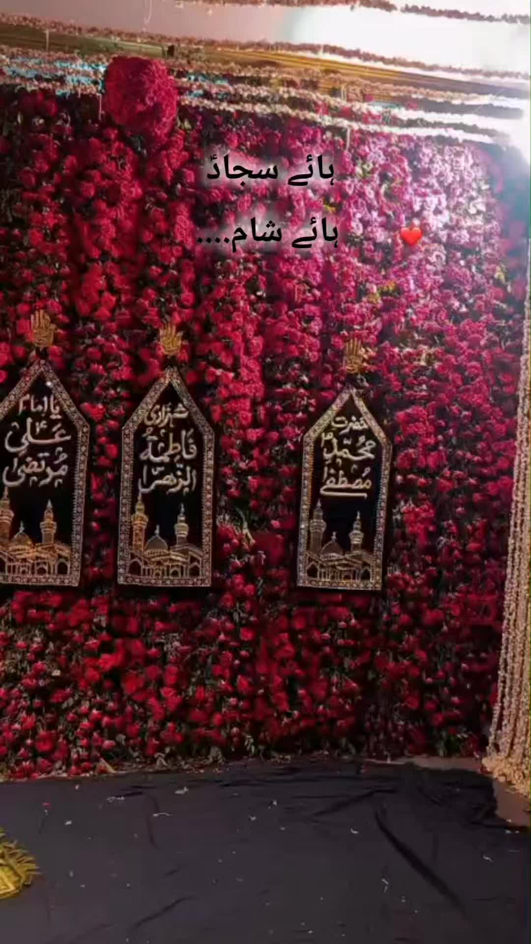@Tooba_Aly