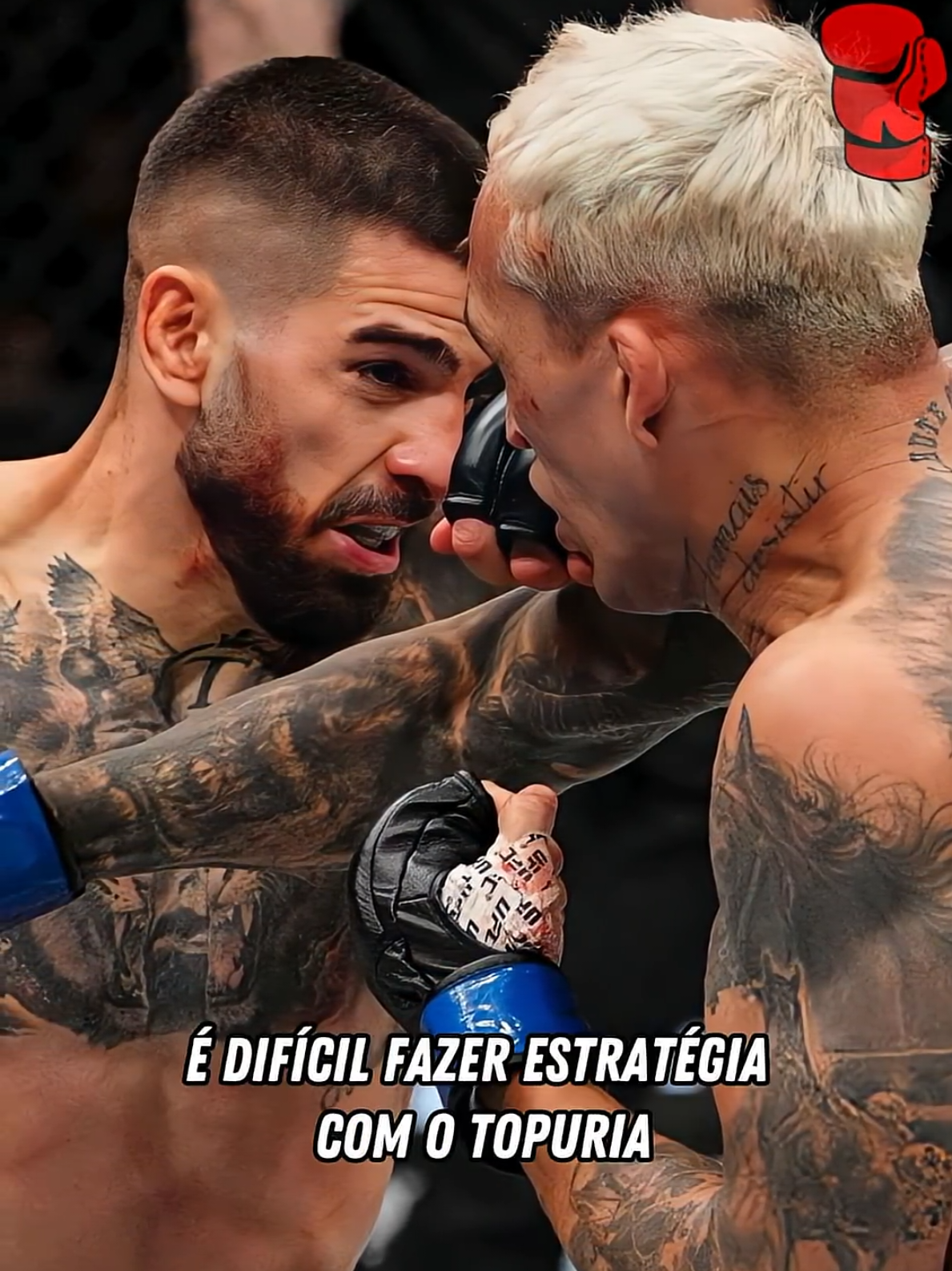 @MMA CUTS