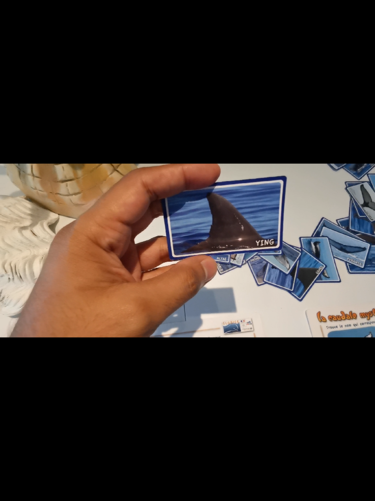 @yashil_err