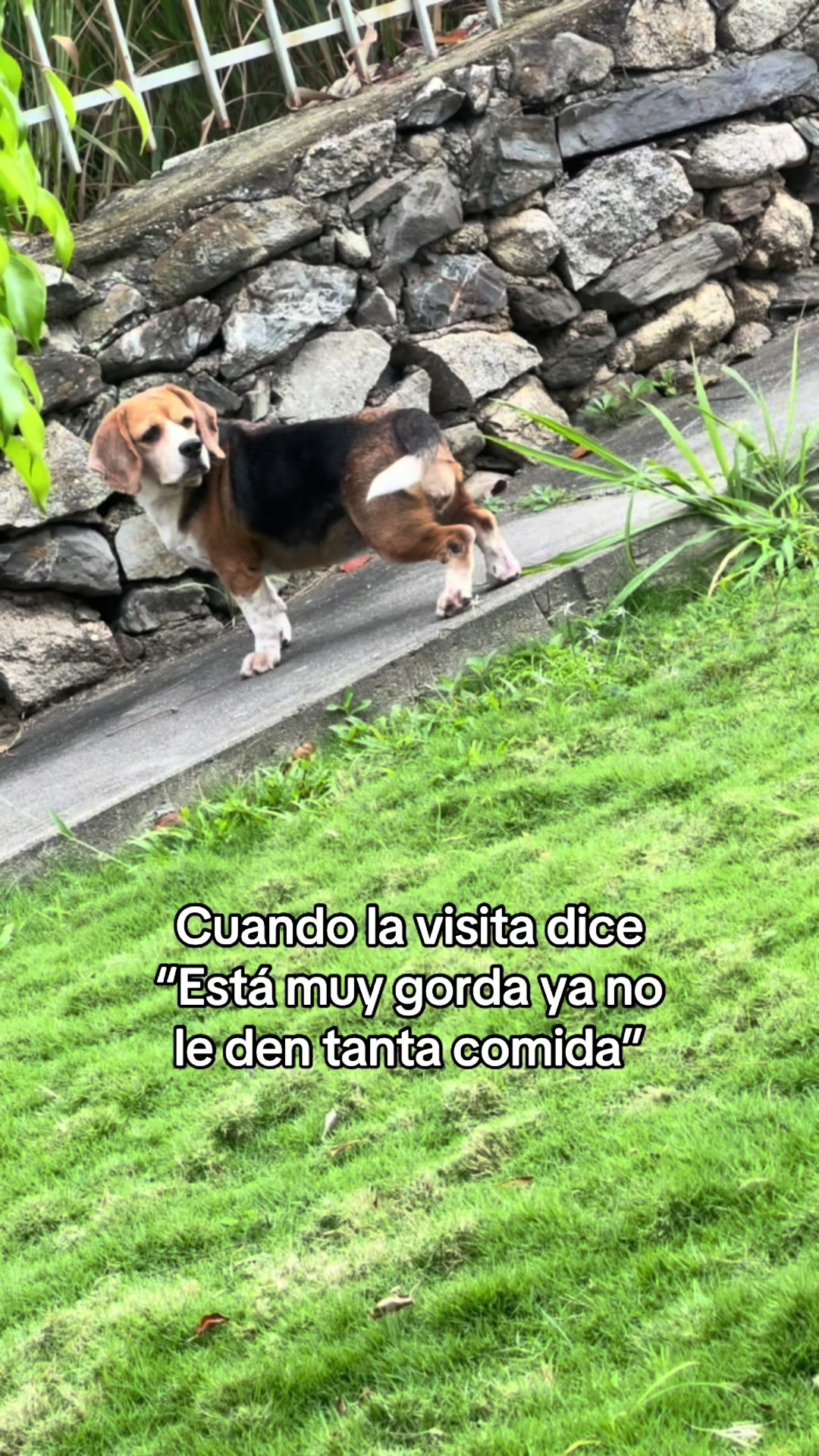 @Desiree Garcia
