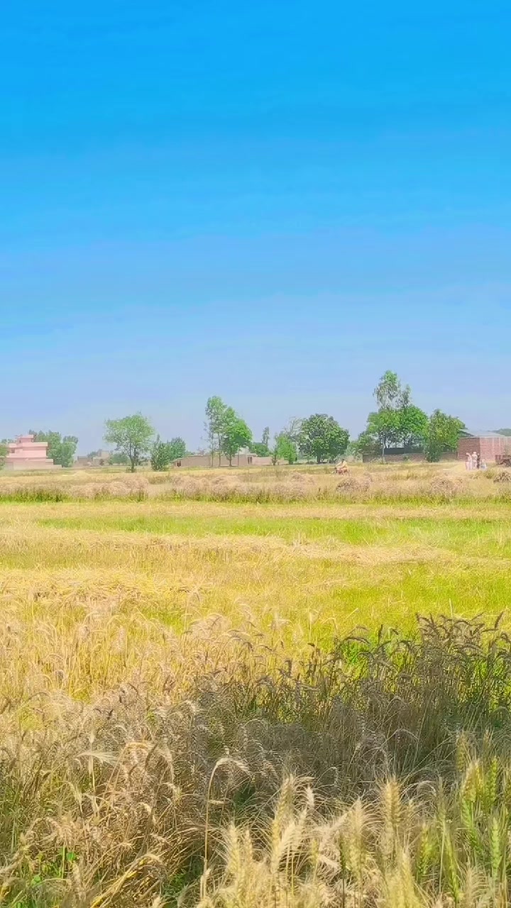 @Irfan Chaudhary🔥