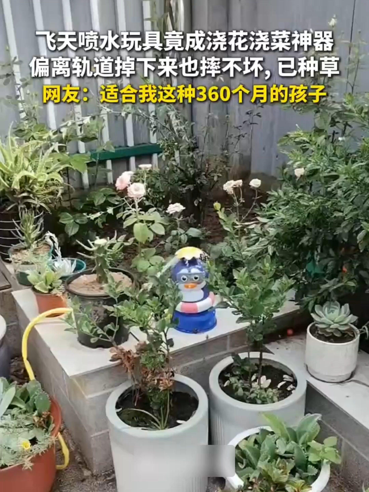 @闽南风~