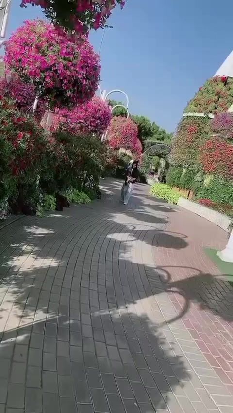 @🍁𝓓𝓲𝓷𝓪❥𝓐𝓵𝓲࿐🇮🇩