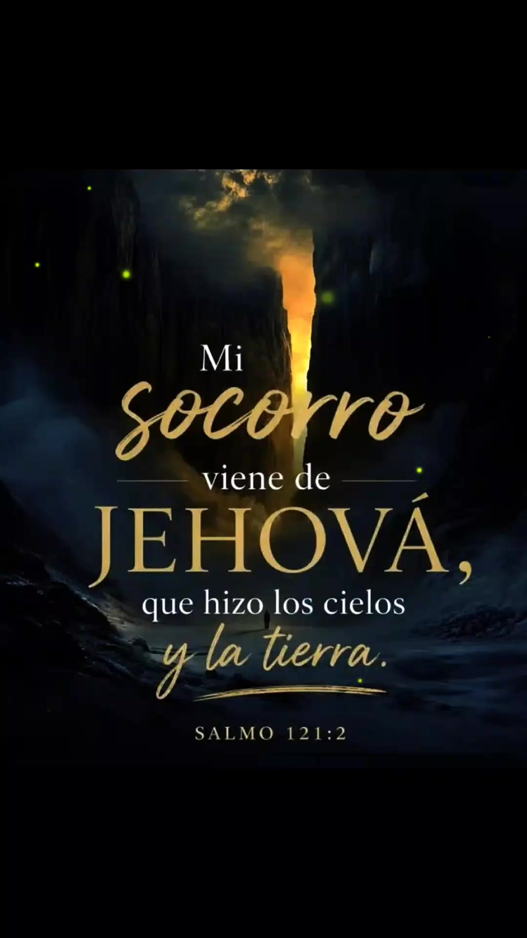 @Dulce Lopez2649