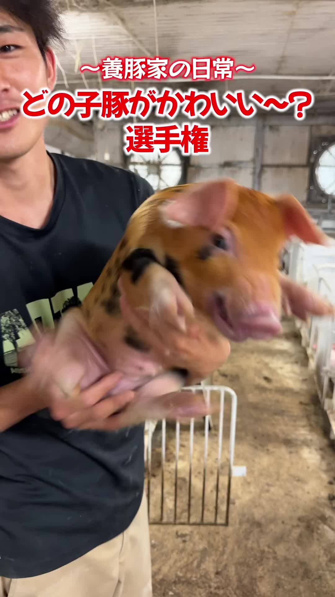 @豚肉オンラインショップ