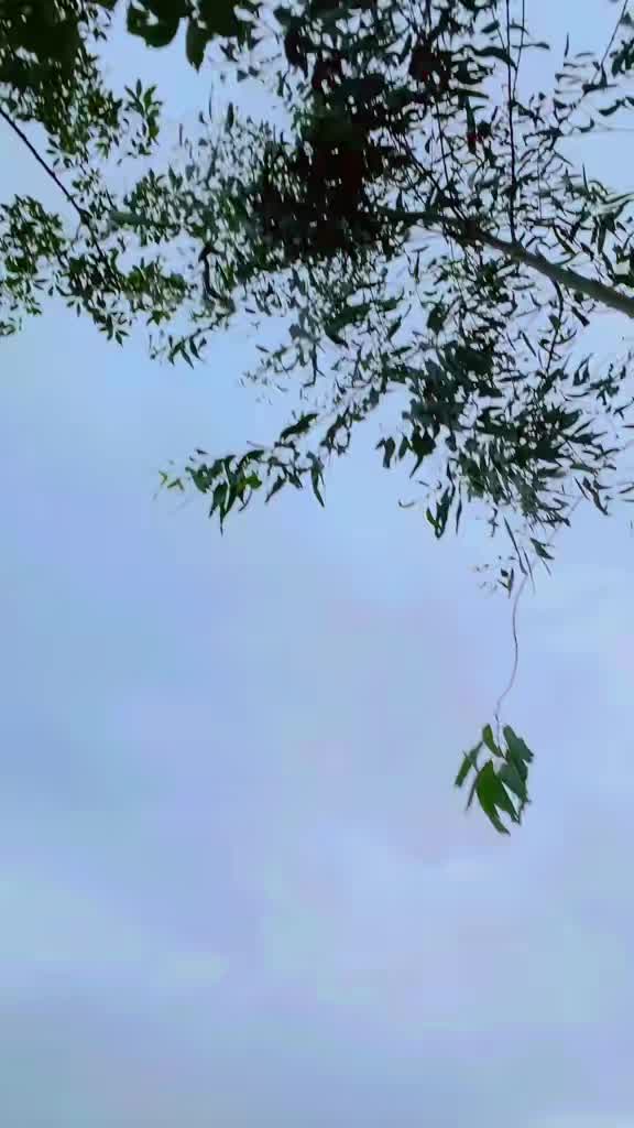 @জগতের দুলা ভাই