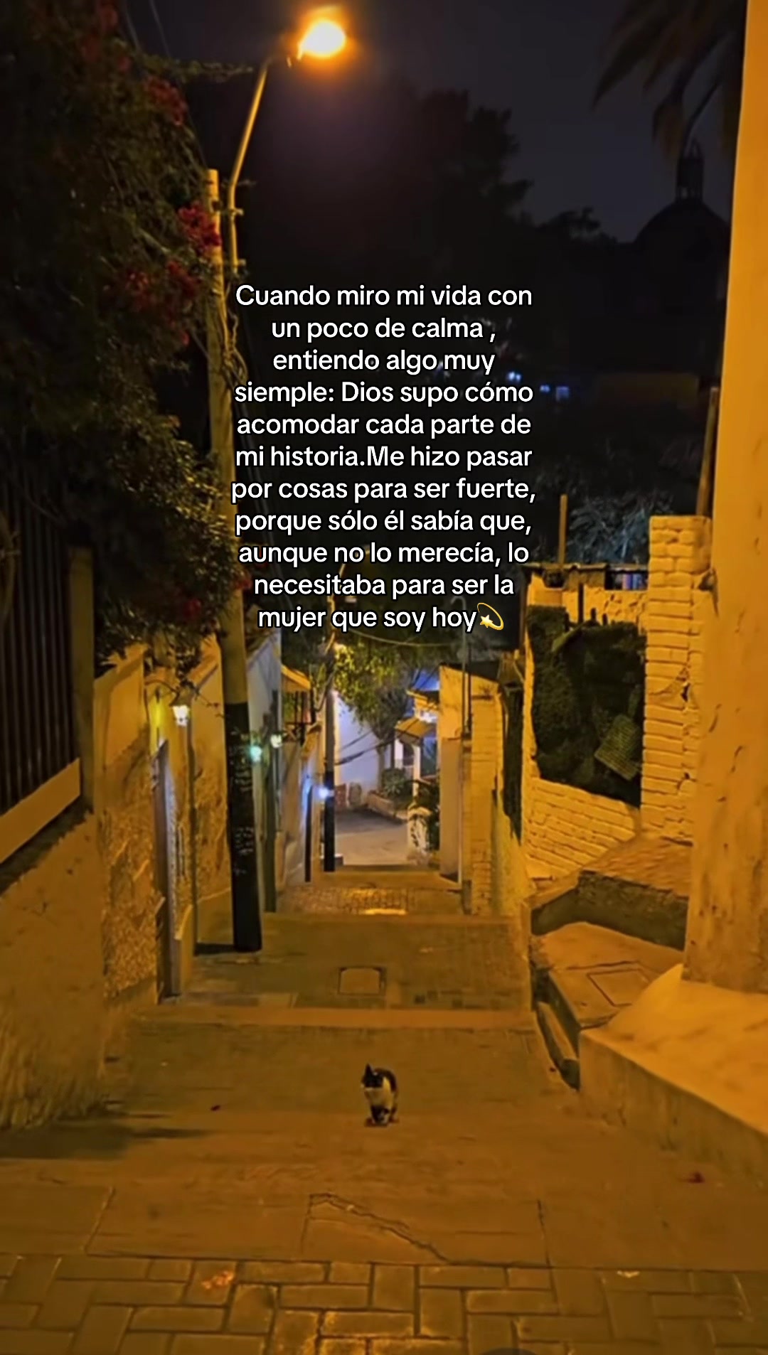 @Brilla en tu caos💫