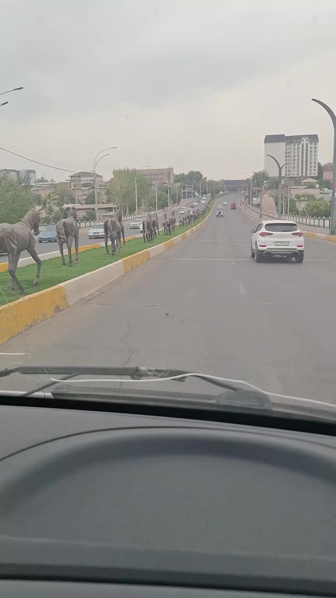 @гулчехра