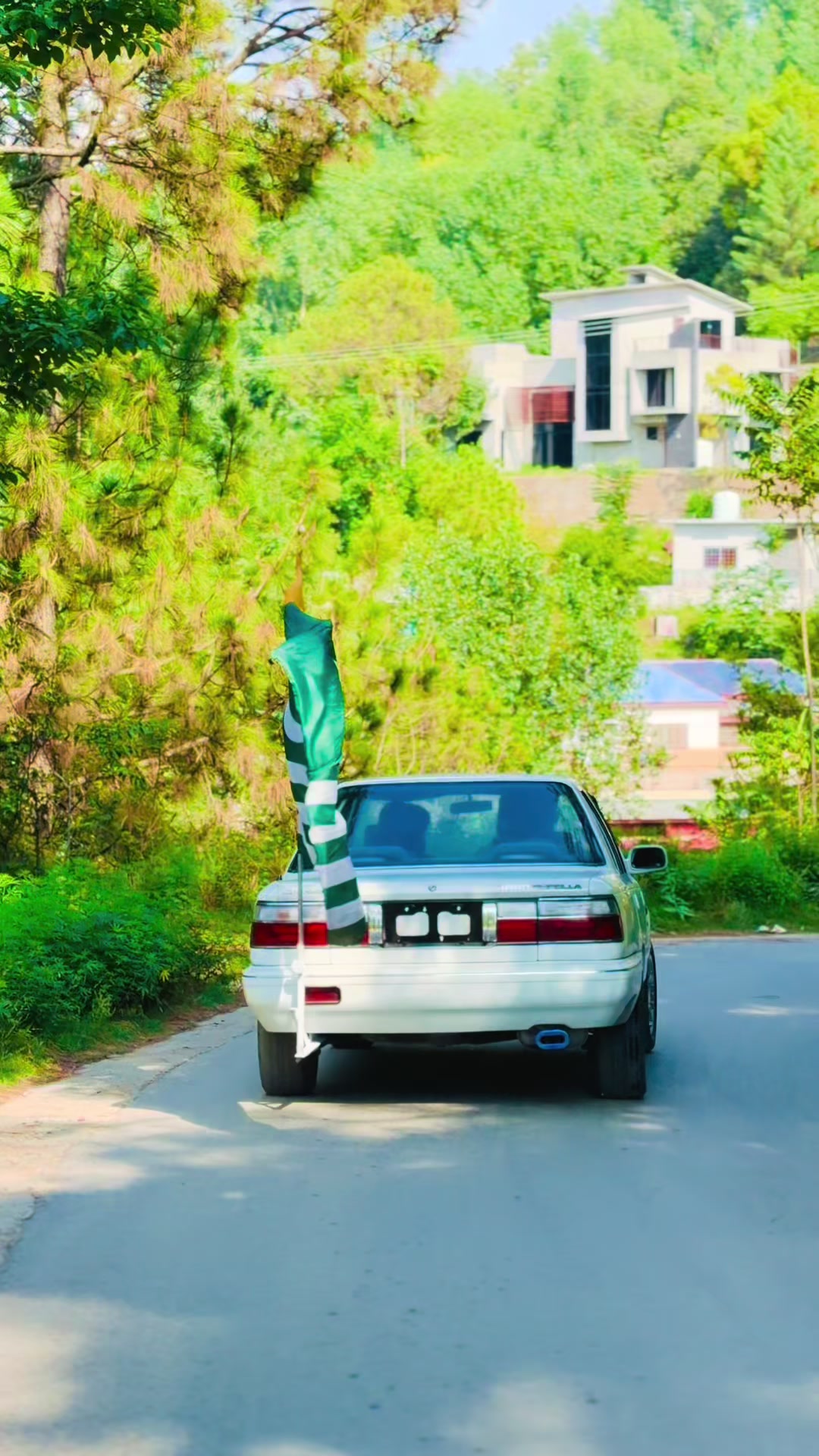 @سردار محیب