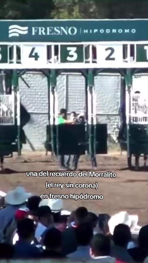 @carriles altos de jalisco🐎