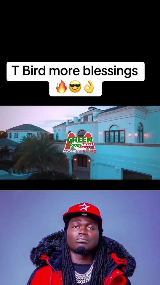 @Green Roots Media