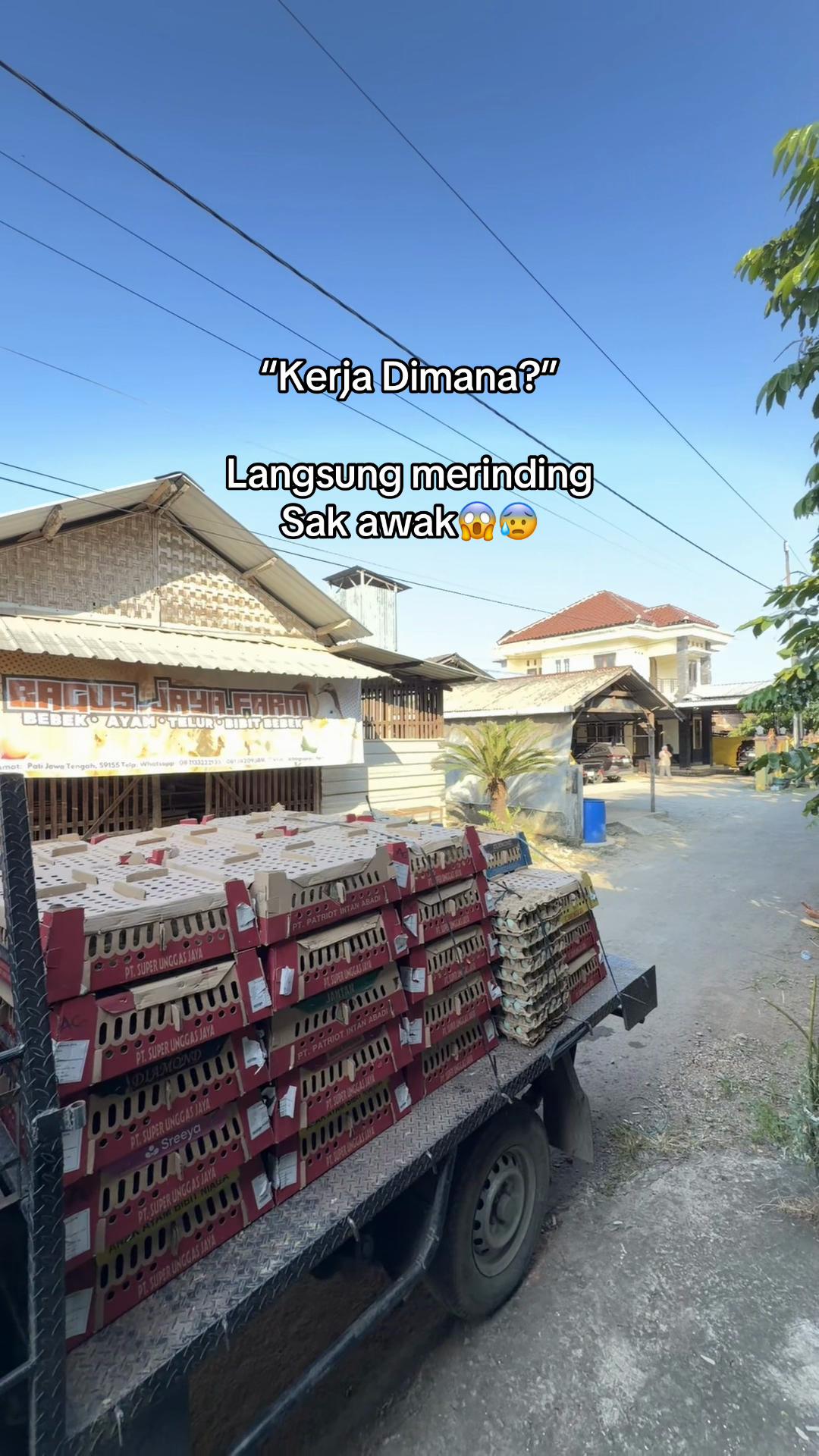 @PT BAGUS JAYA FARM