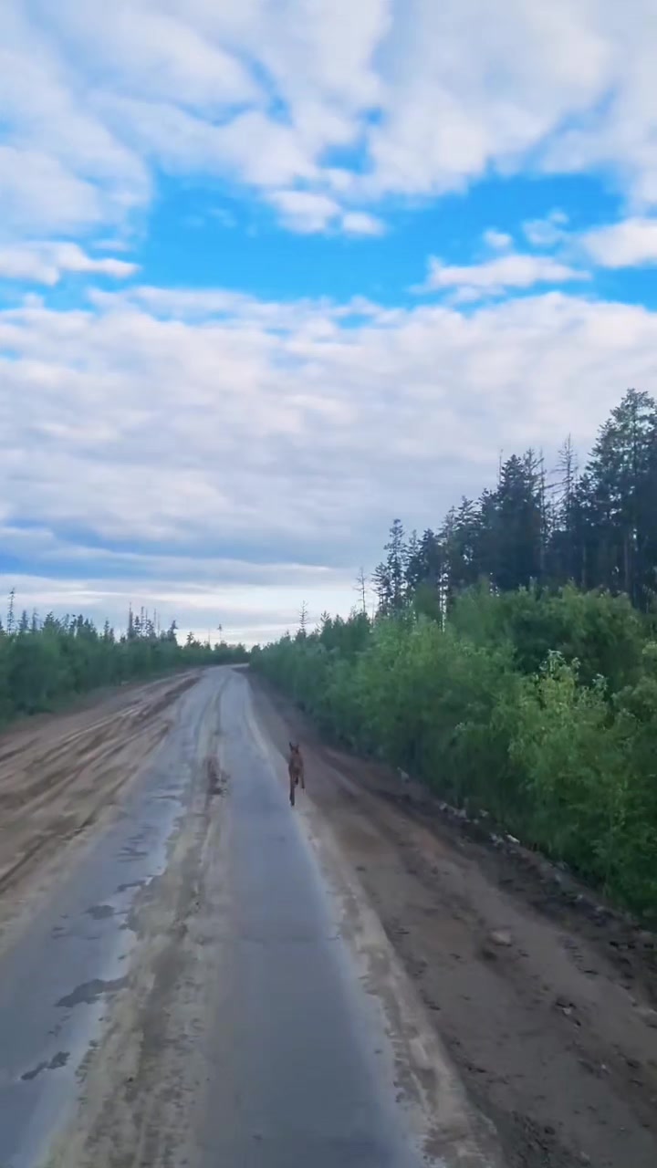@Aleksandr 138🇷🇺
