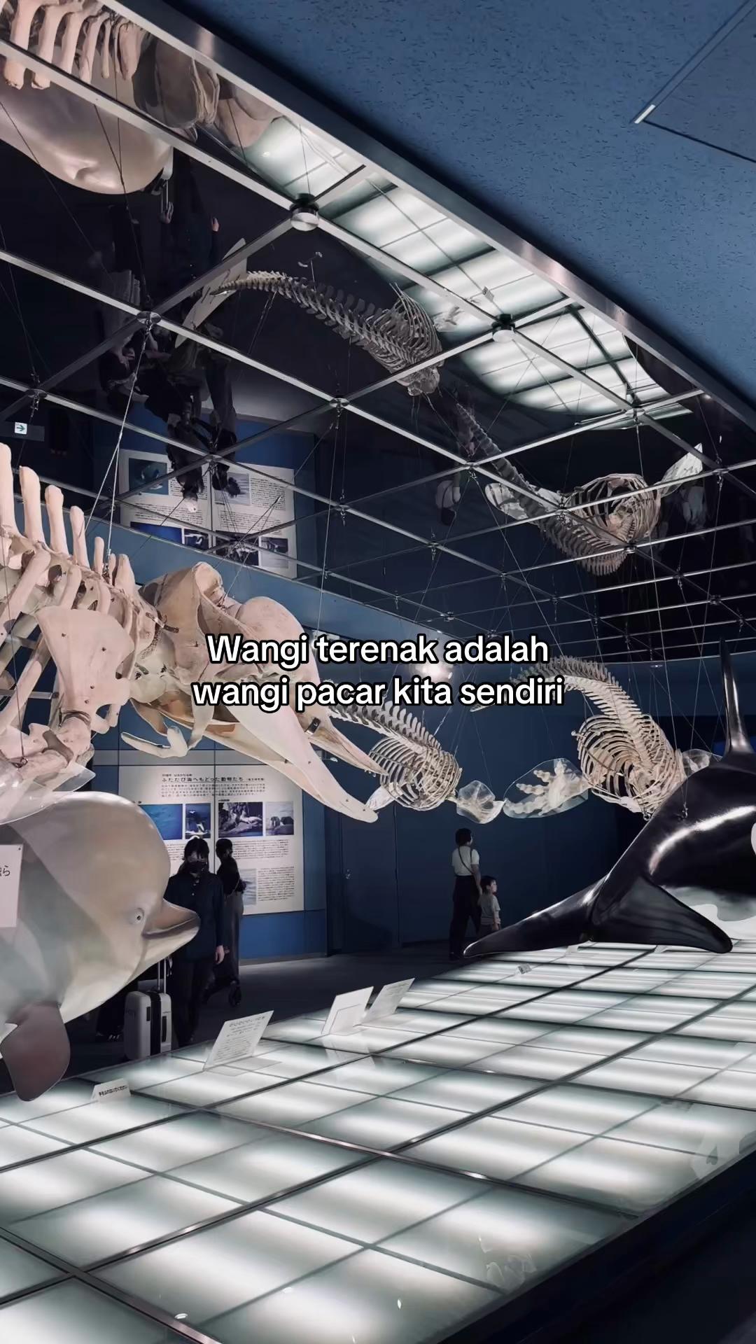 @𝖋𝖆𝖓𝖓 𝖍𝖒𝖜✧