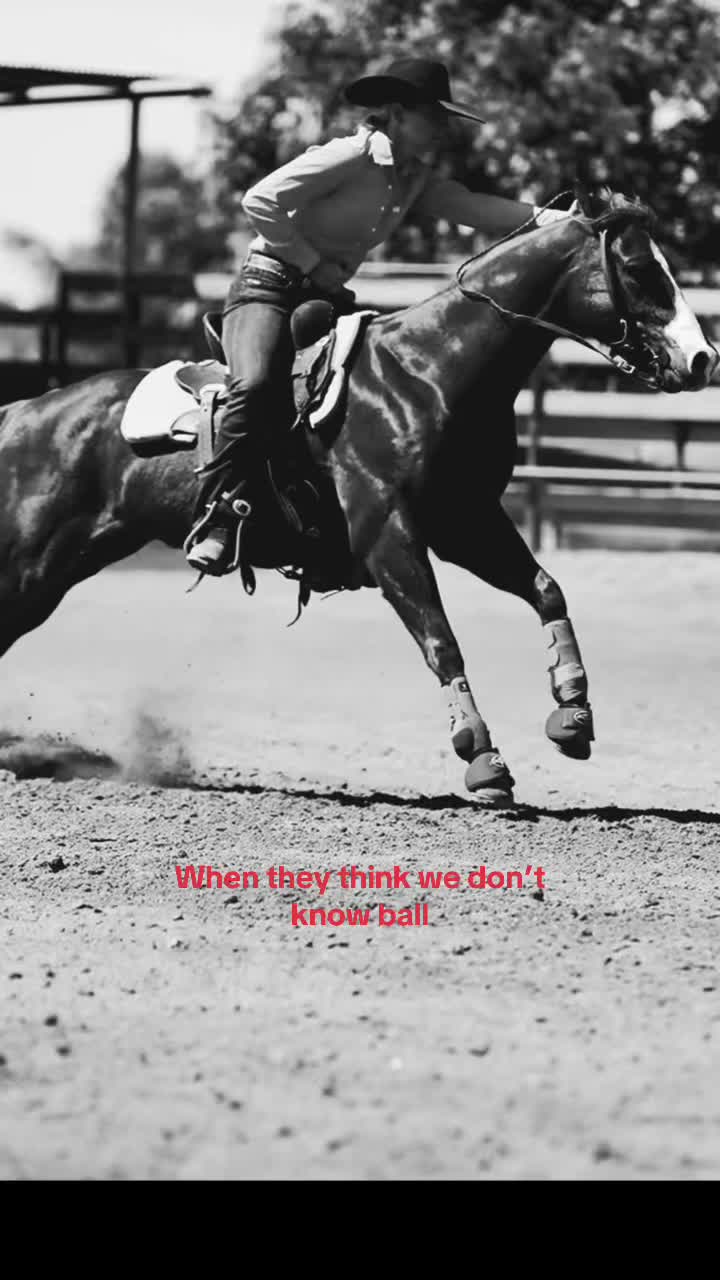 @shai.watson