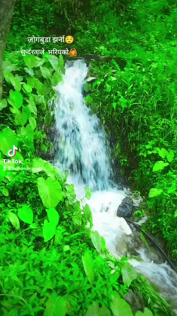 @@Manisha Budha@2590