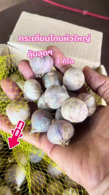 @พี่โซจู