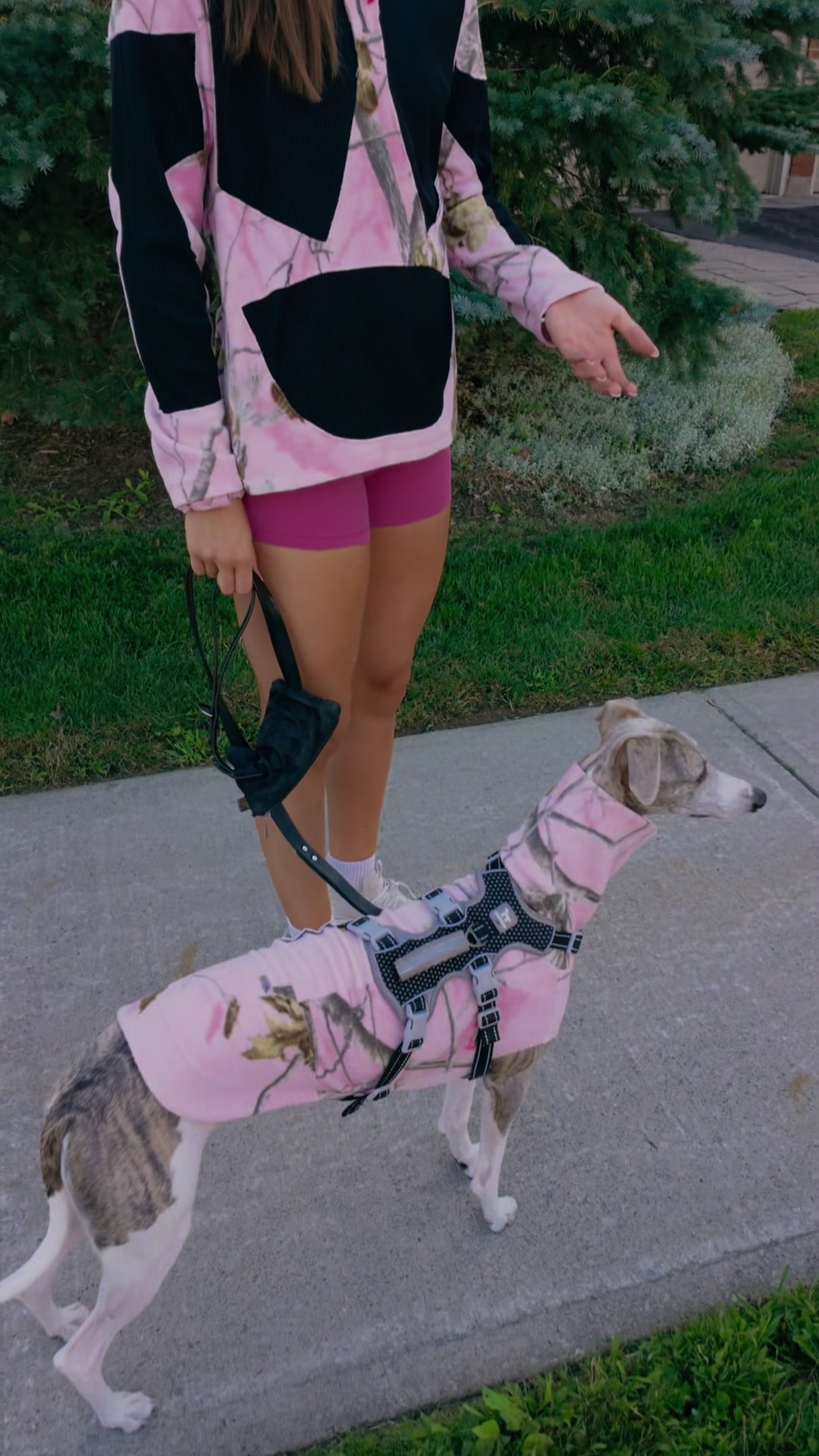 @Kayce Dog🤪🩷