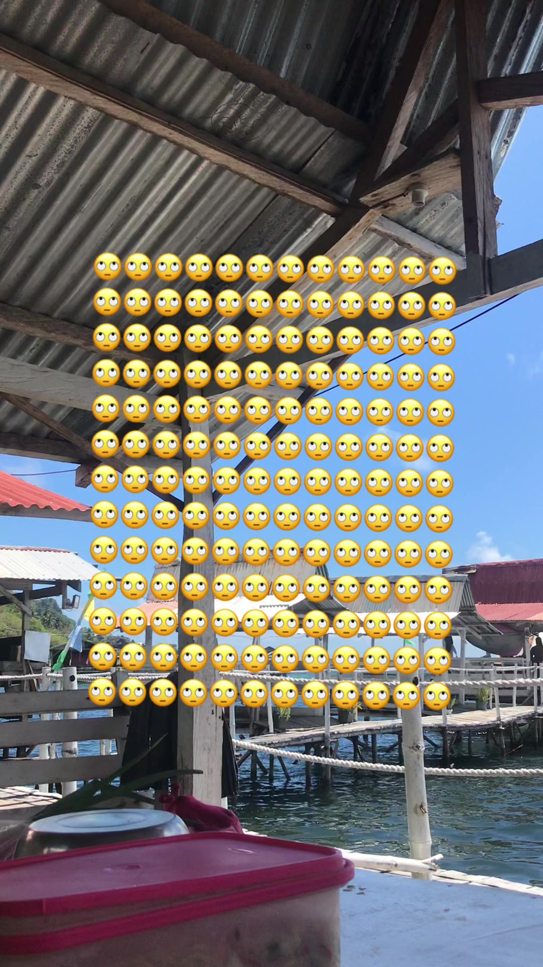 @daisy