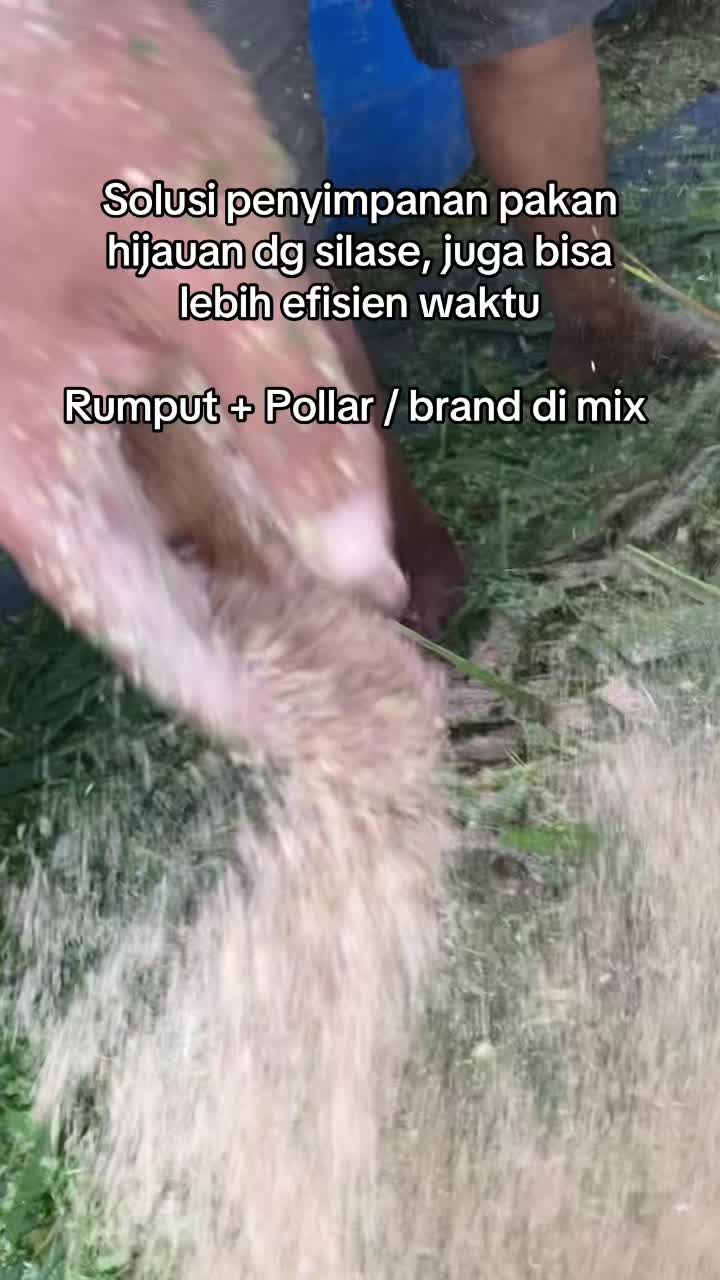 @peternakankambingsolo