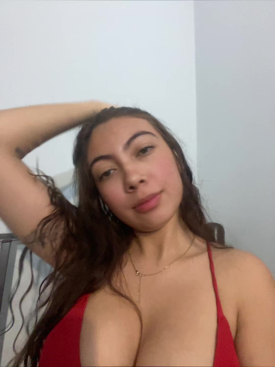 @vane_modell