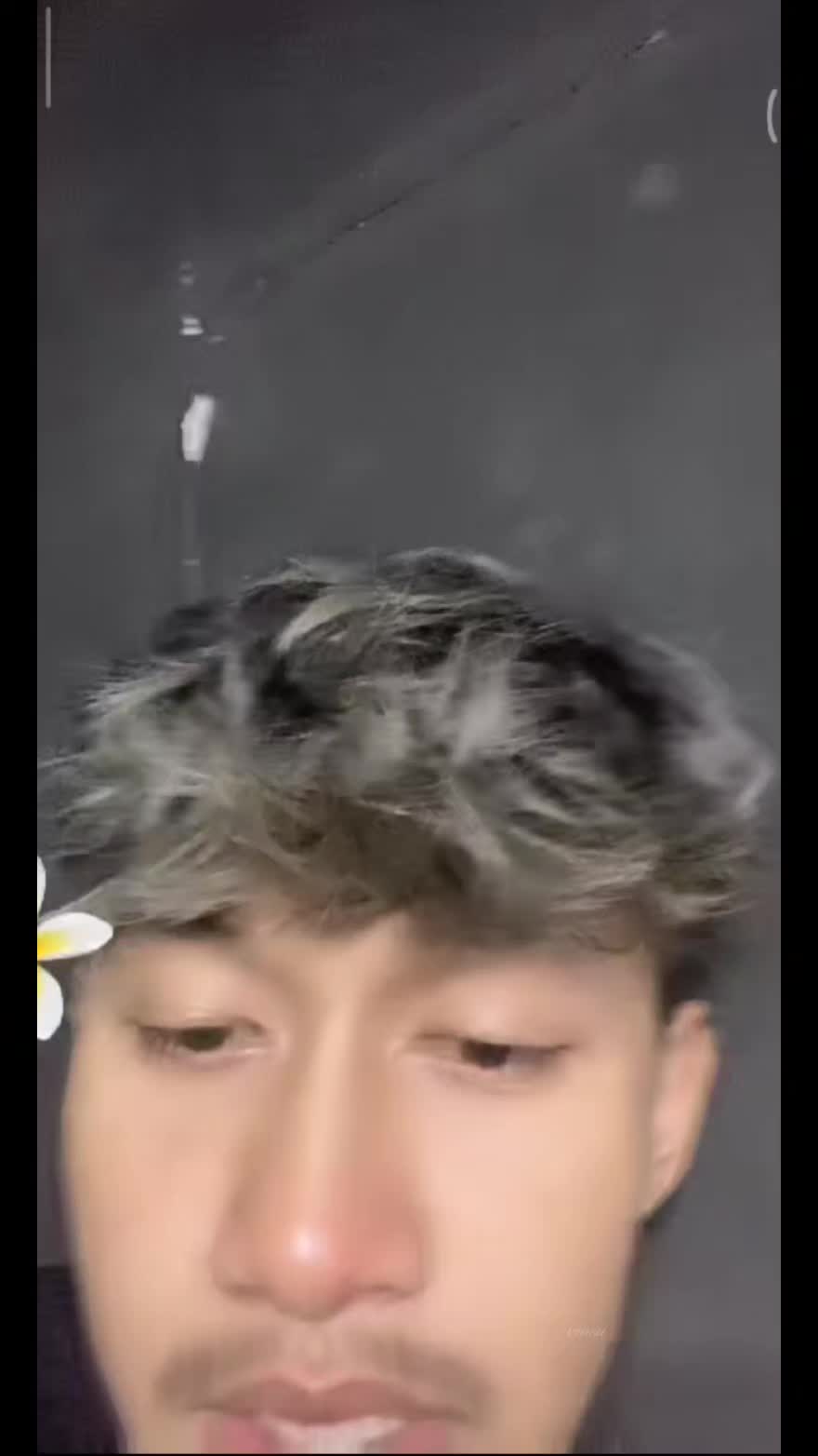 @salsaa