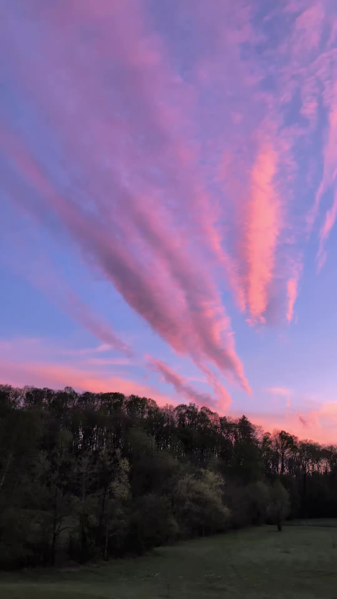 @Wander North Georgia