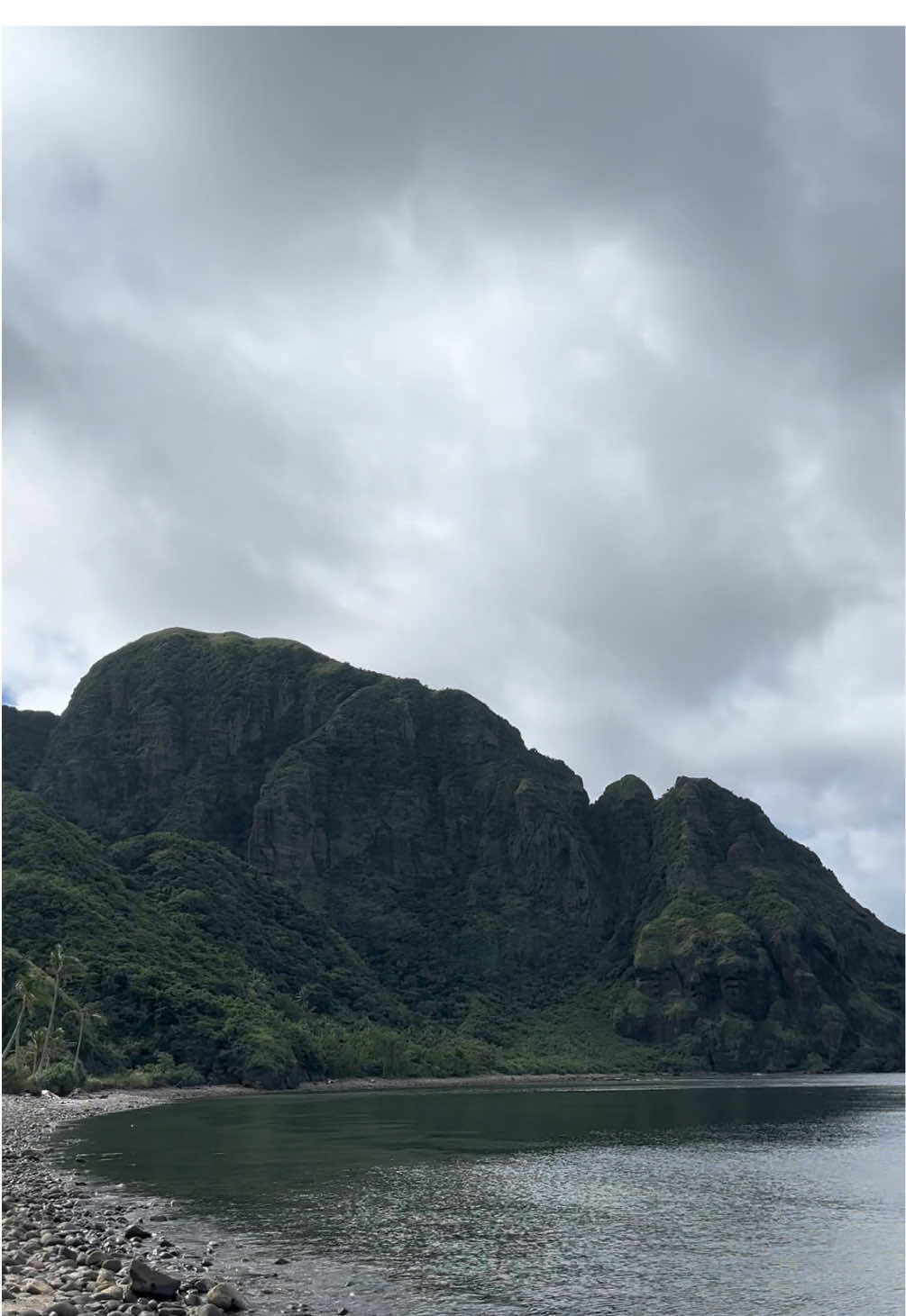 @mateyaaa 🌻