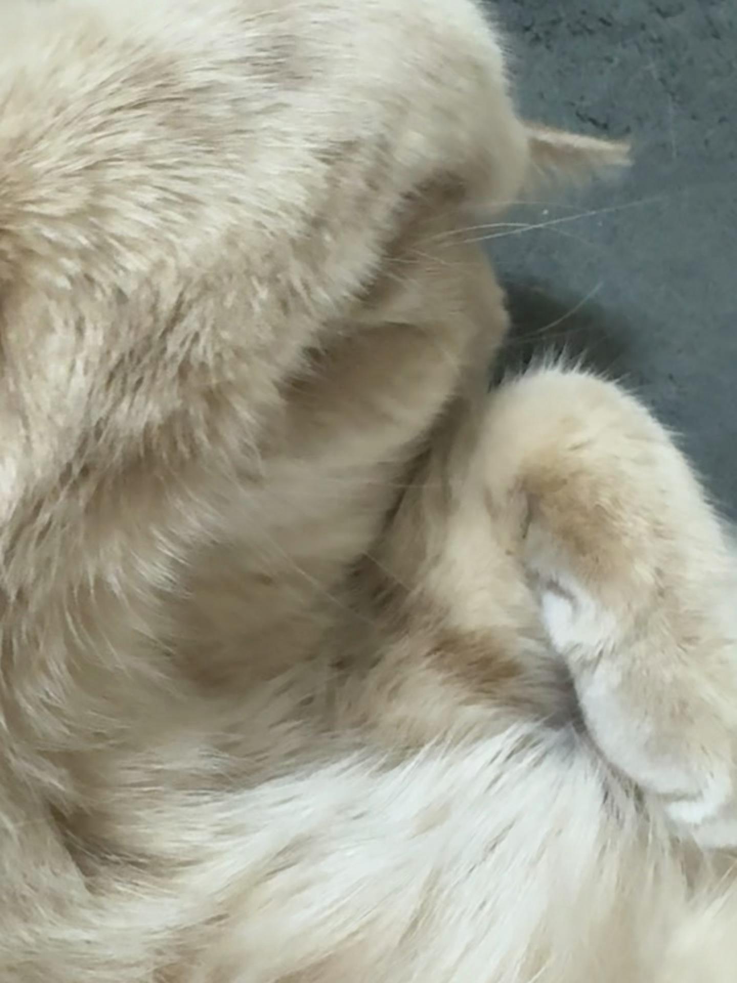 @ð«ð§ããã±ã³ðïžãããµãð§ð«