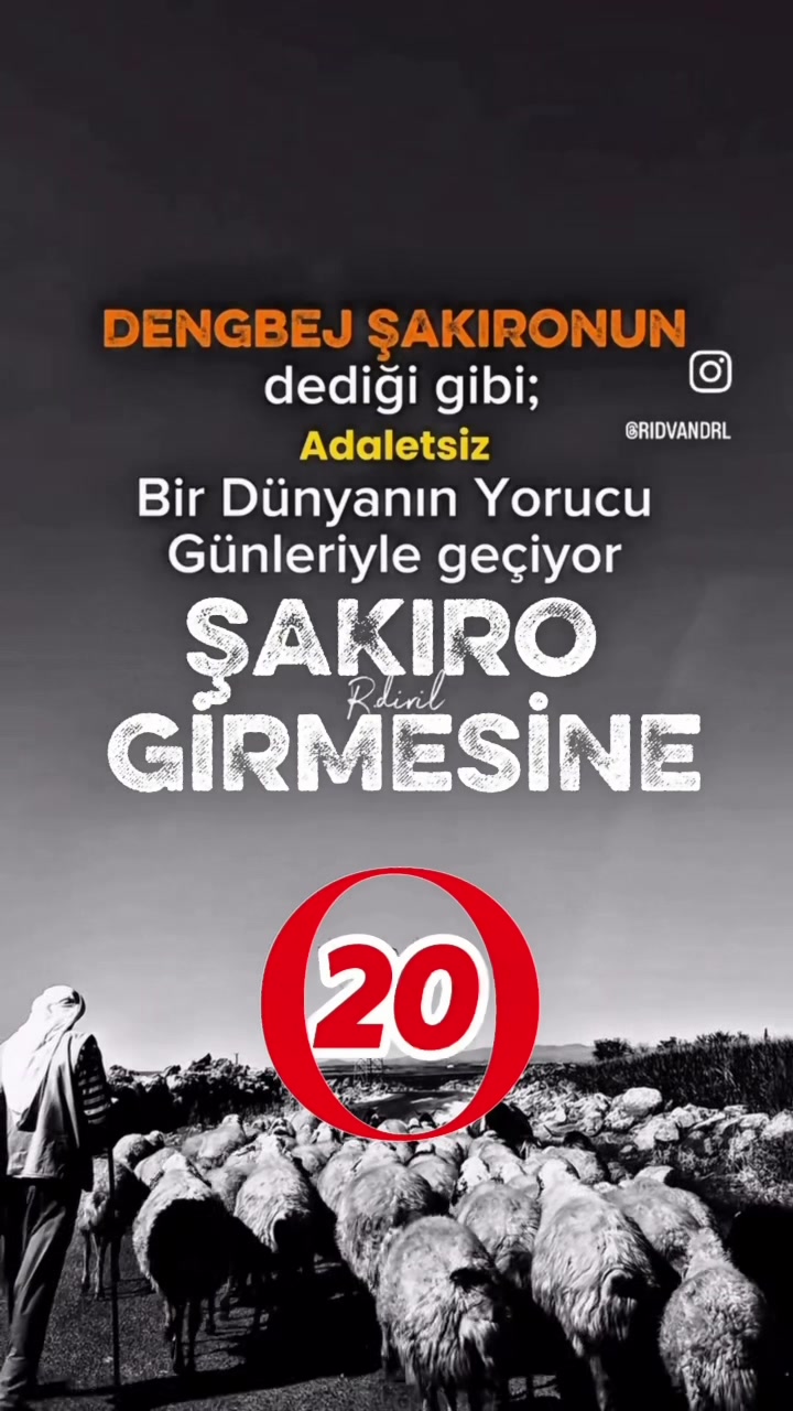 @Rıdvan Diril ☑️