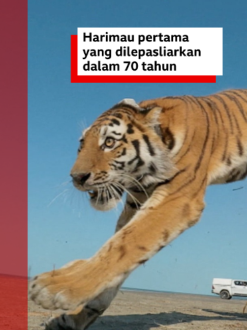 @bbcnewsindonesia