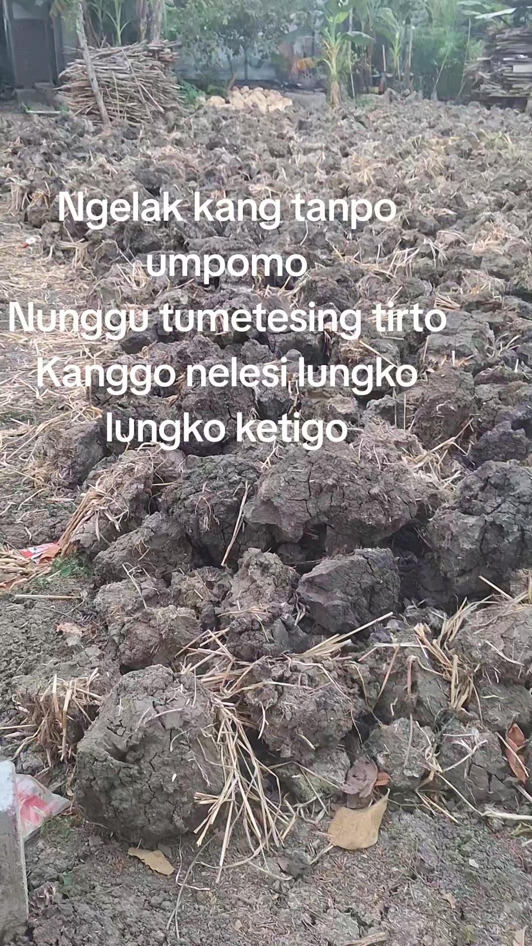 @Esningsih