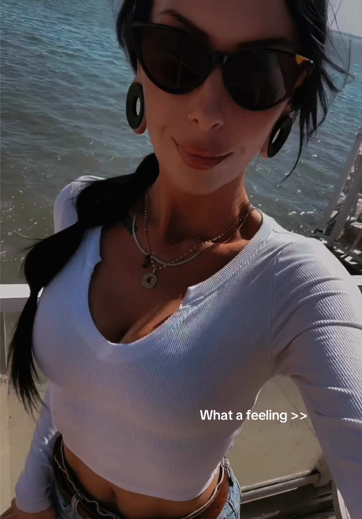 @malpal2