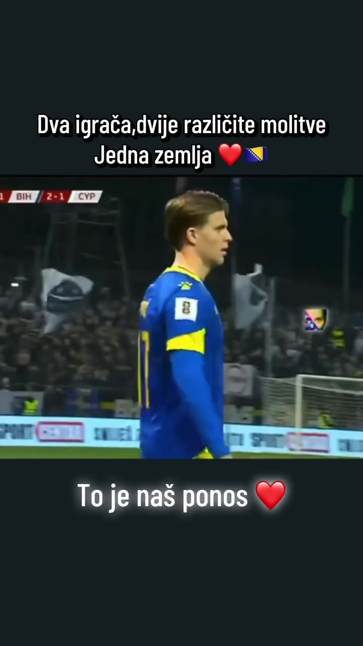 @bosnia.ai