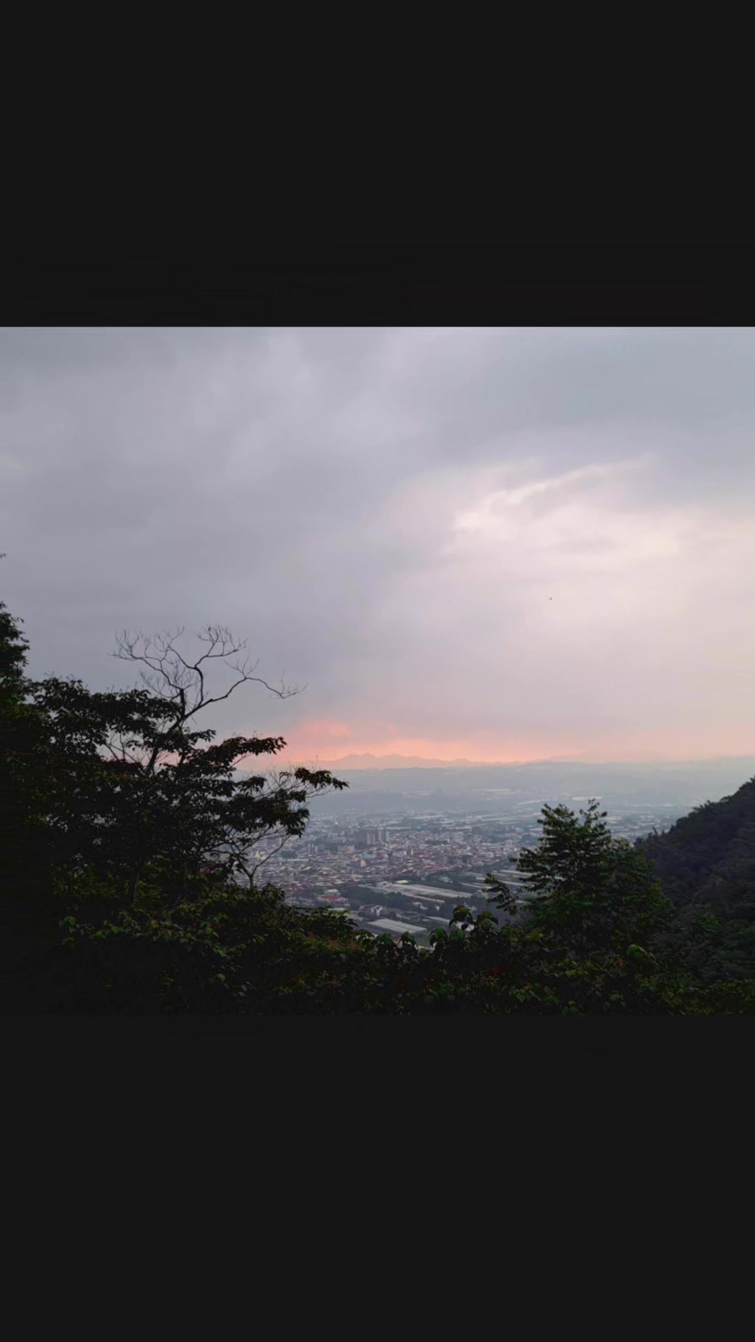 @銘記在心ARP(59-2期)