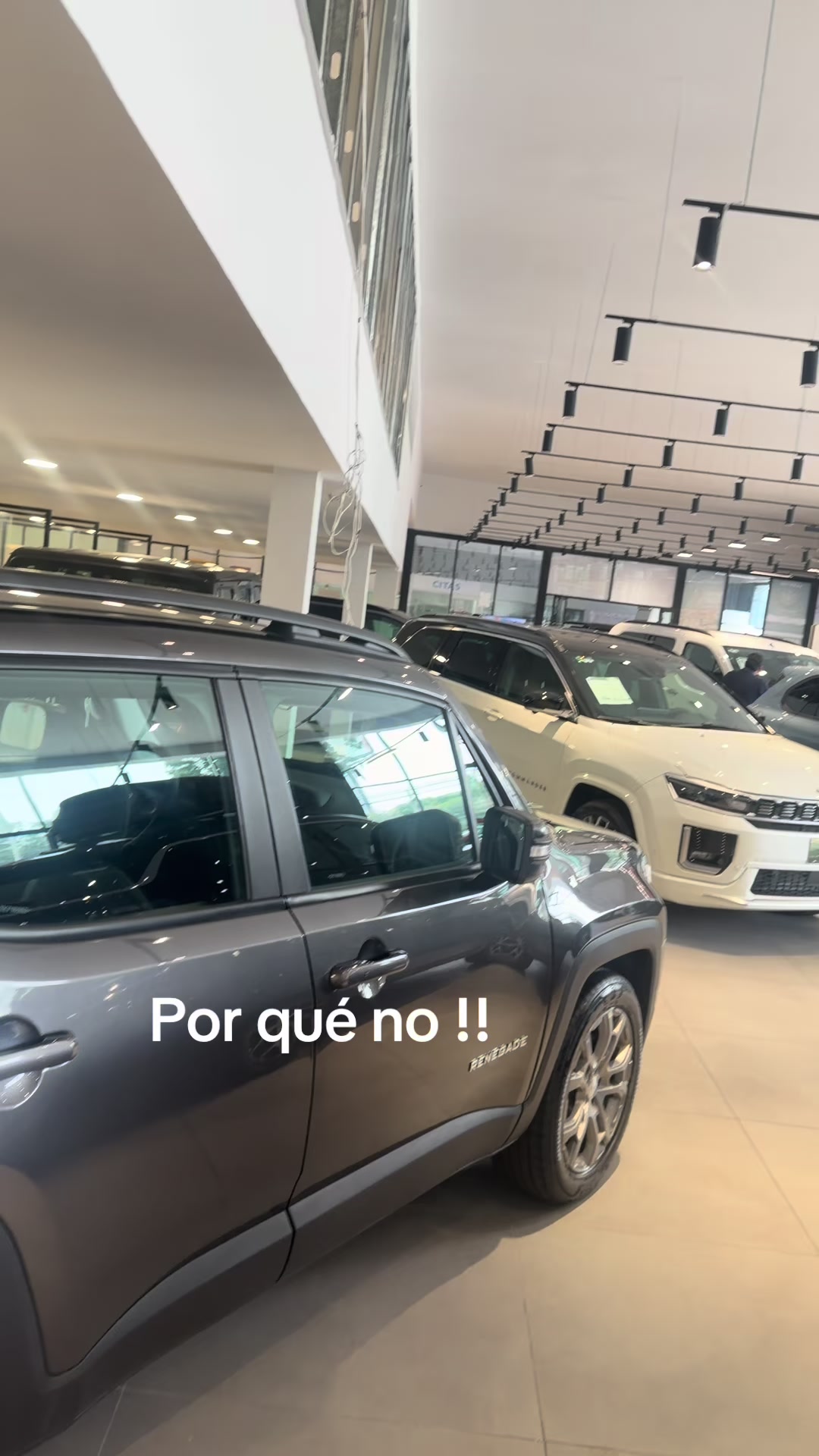 @Lulu Garcia