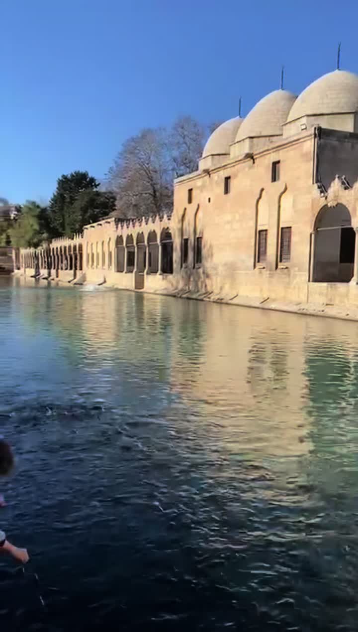 @Gözde ❤️ Batuhan
