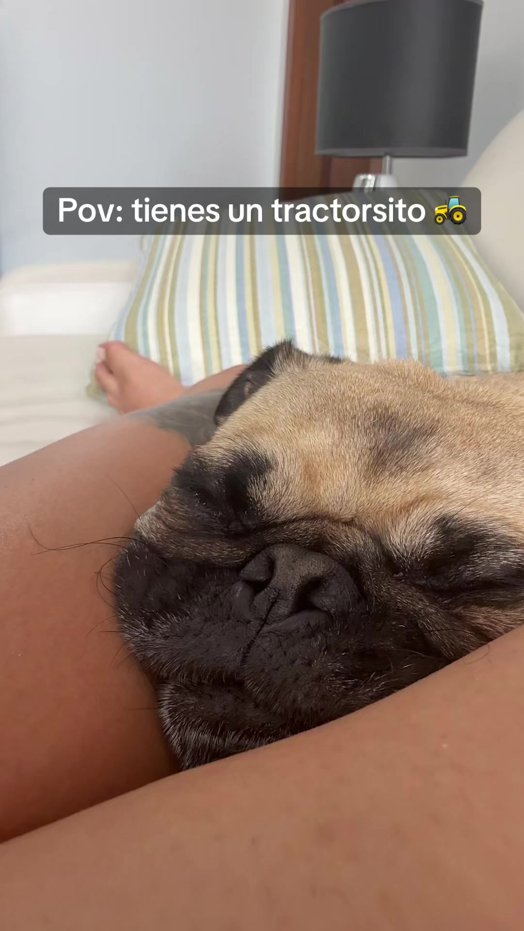 @Alexa&elcarnalchiss