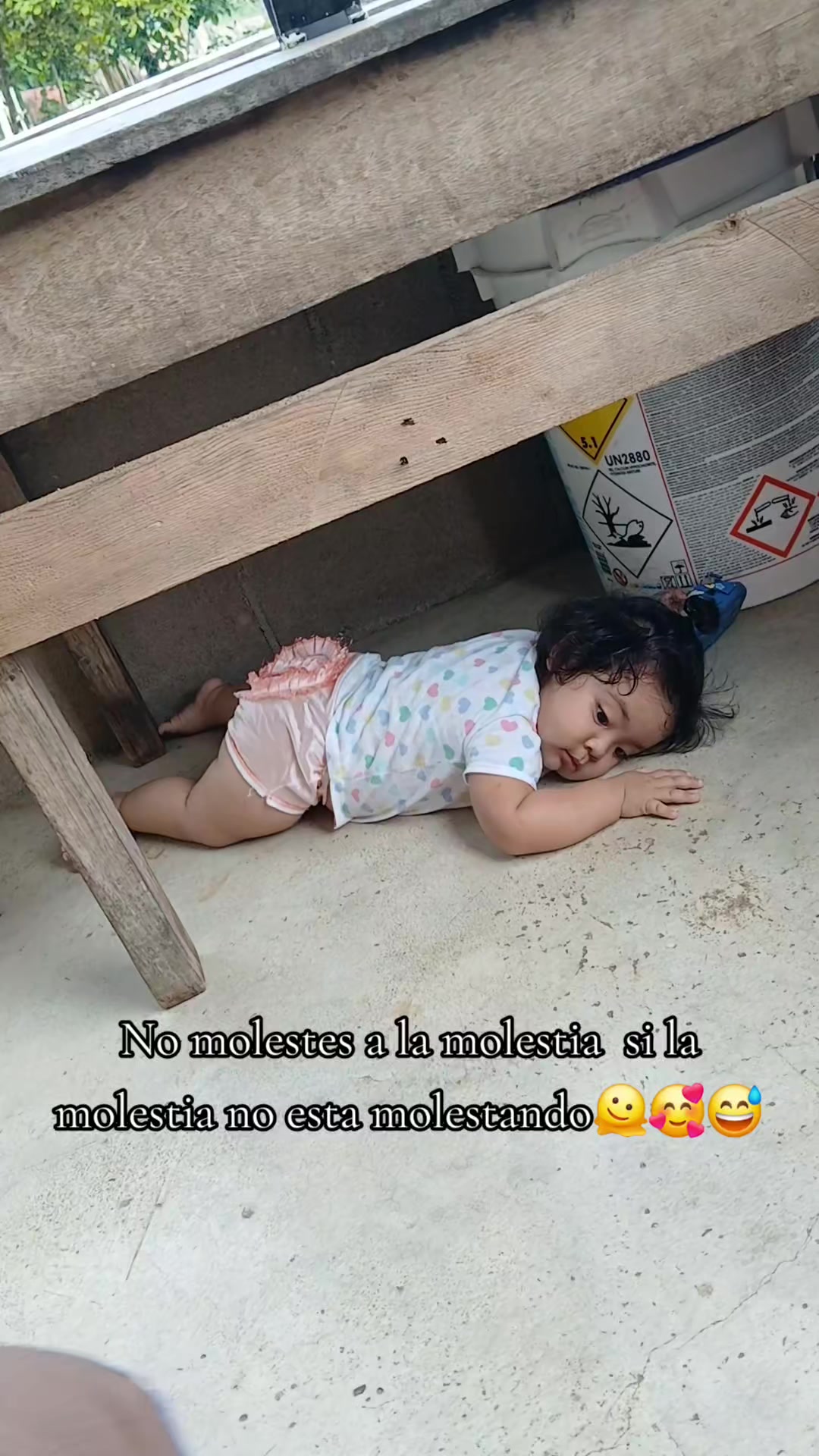 @🥀🩷🌸Chaparrita🌸🩷🥀