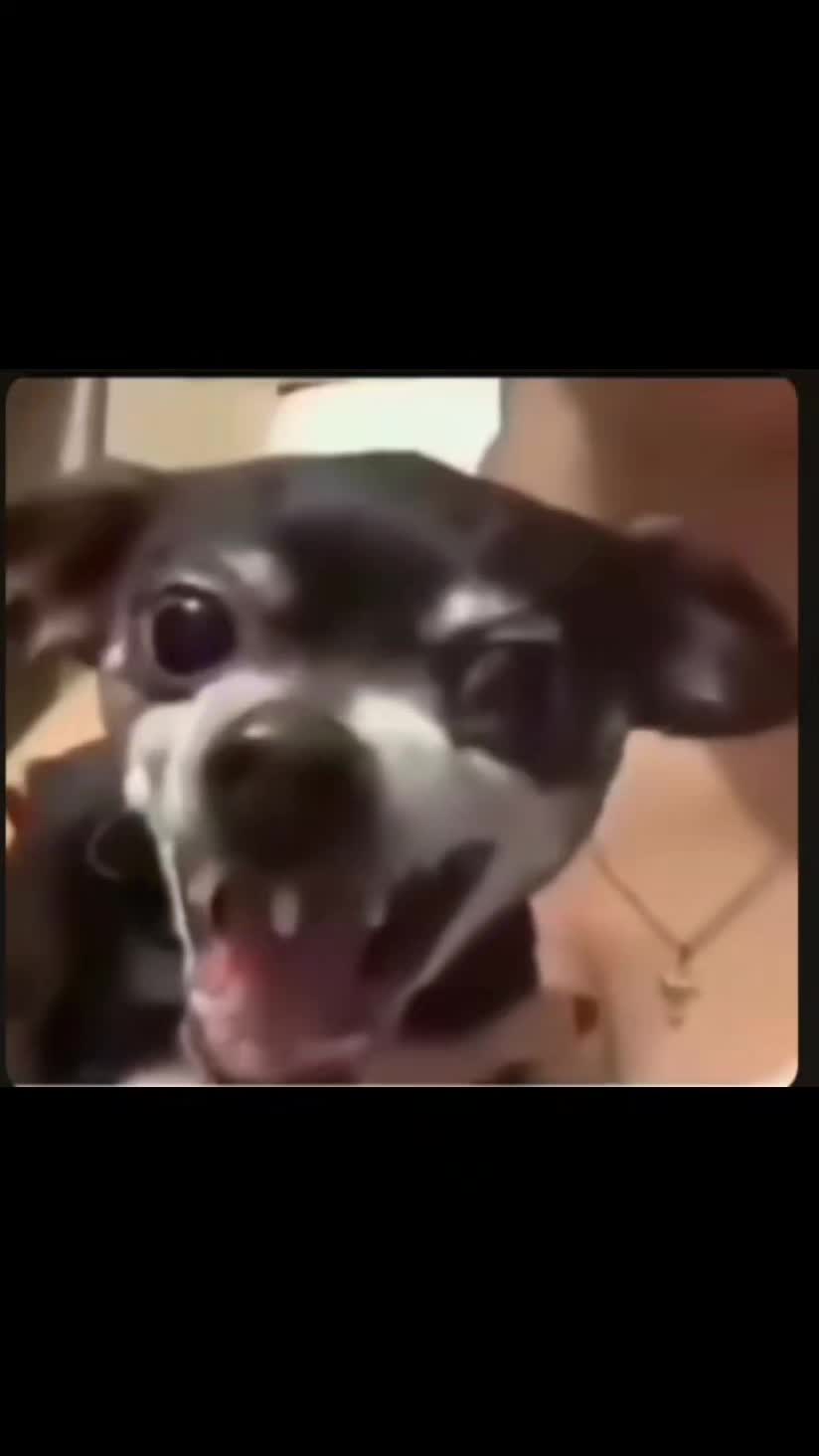@Se&ntilde;or Tzii