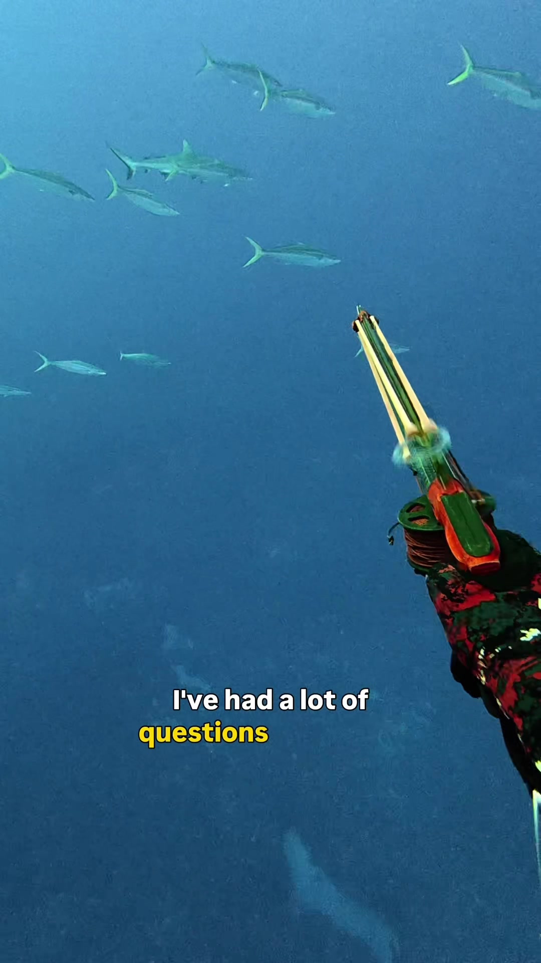 @henrygibbsfishingnz