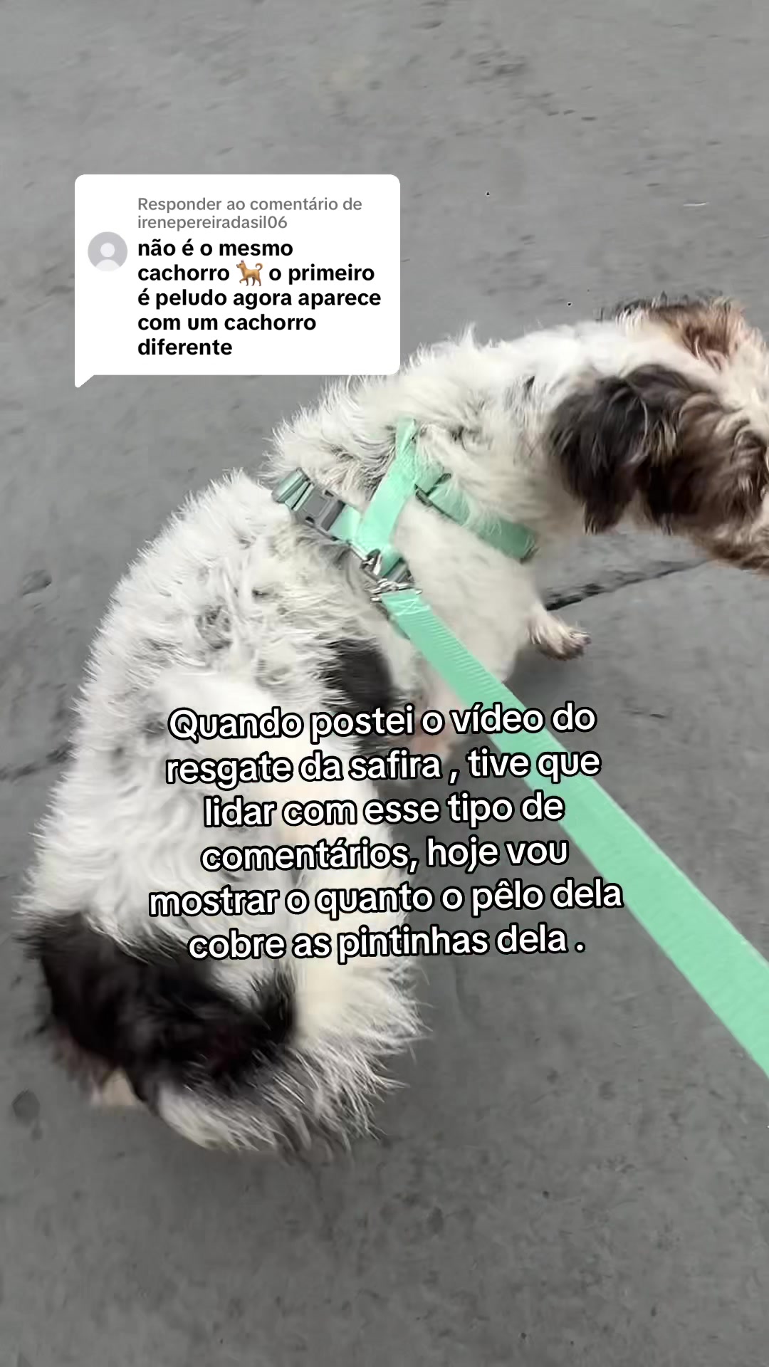 @Jessica Evelym