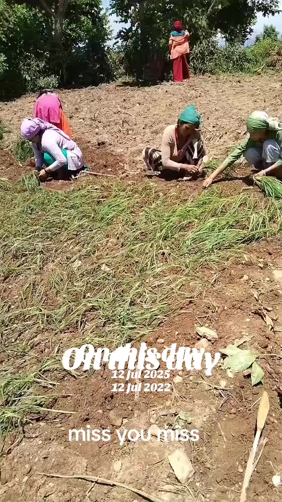 @Samita Karki Katwal