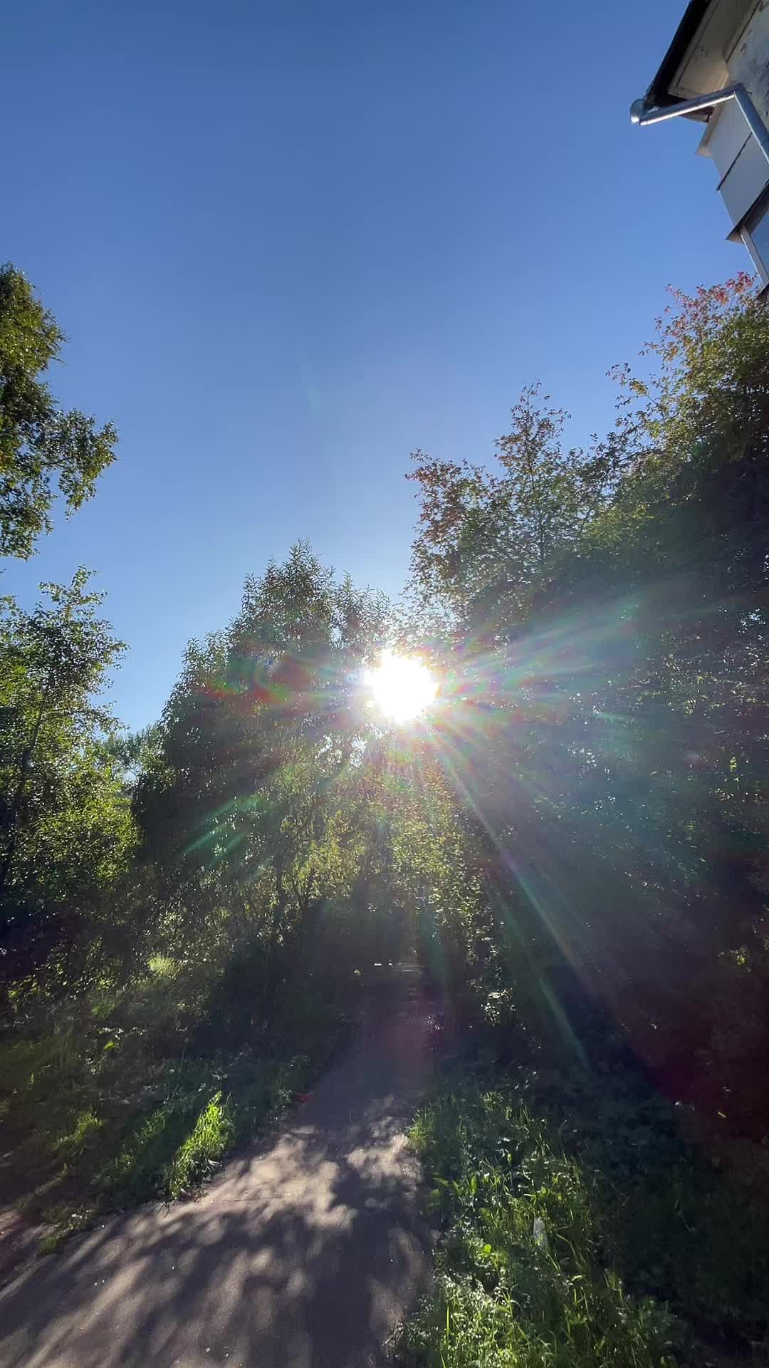 @Ромашка