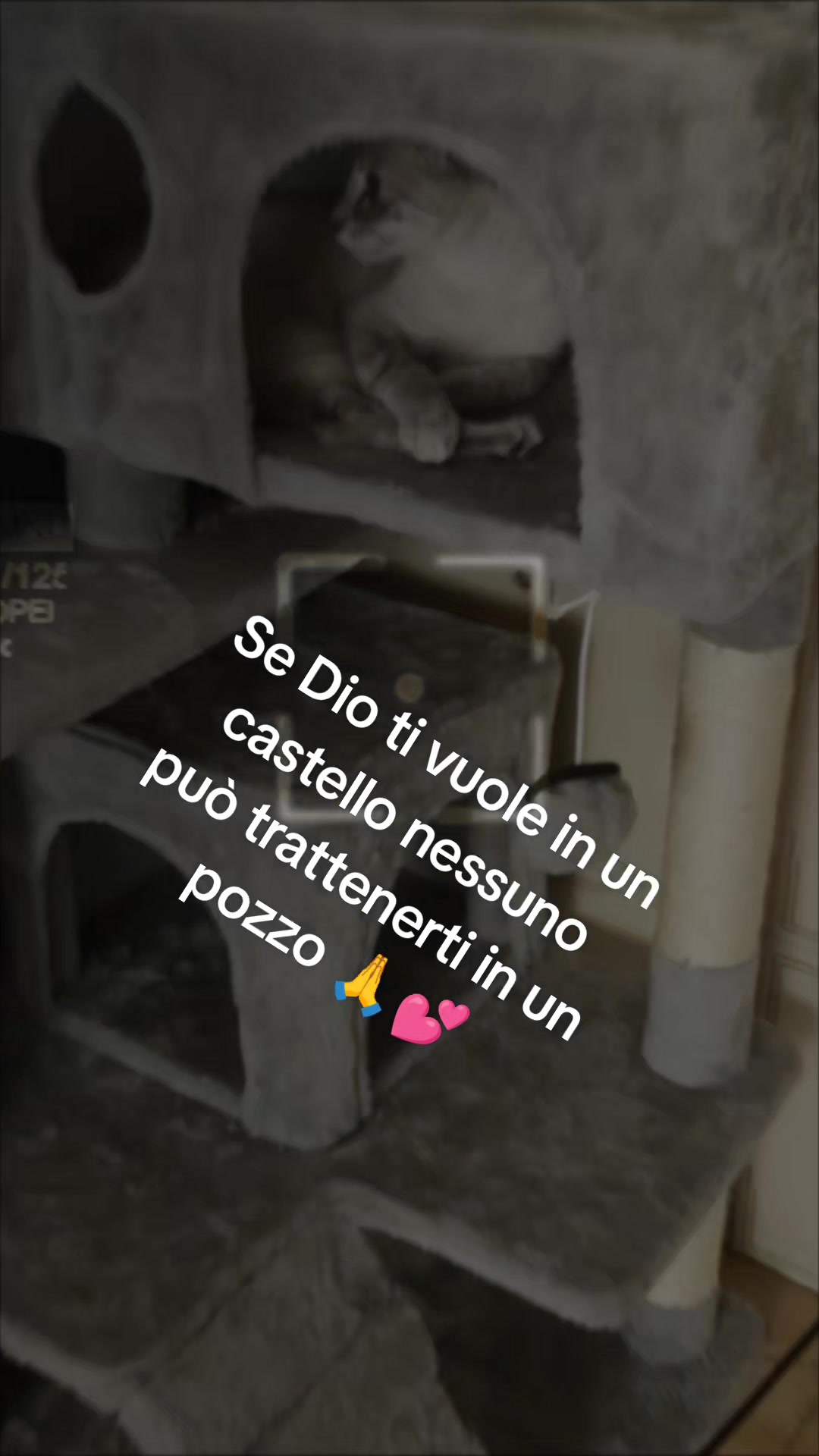 @CARLO MATTEO ANTONELLA 👑👑👑