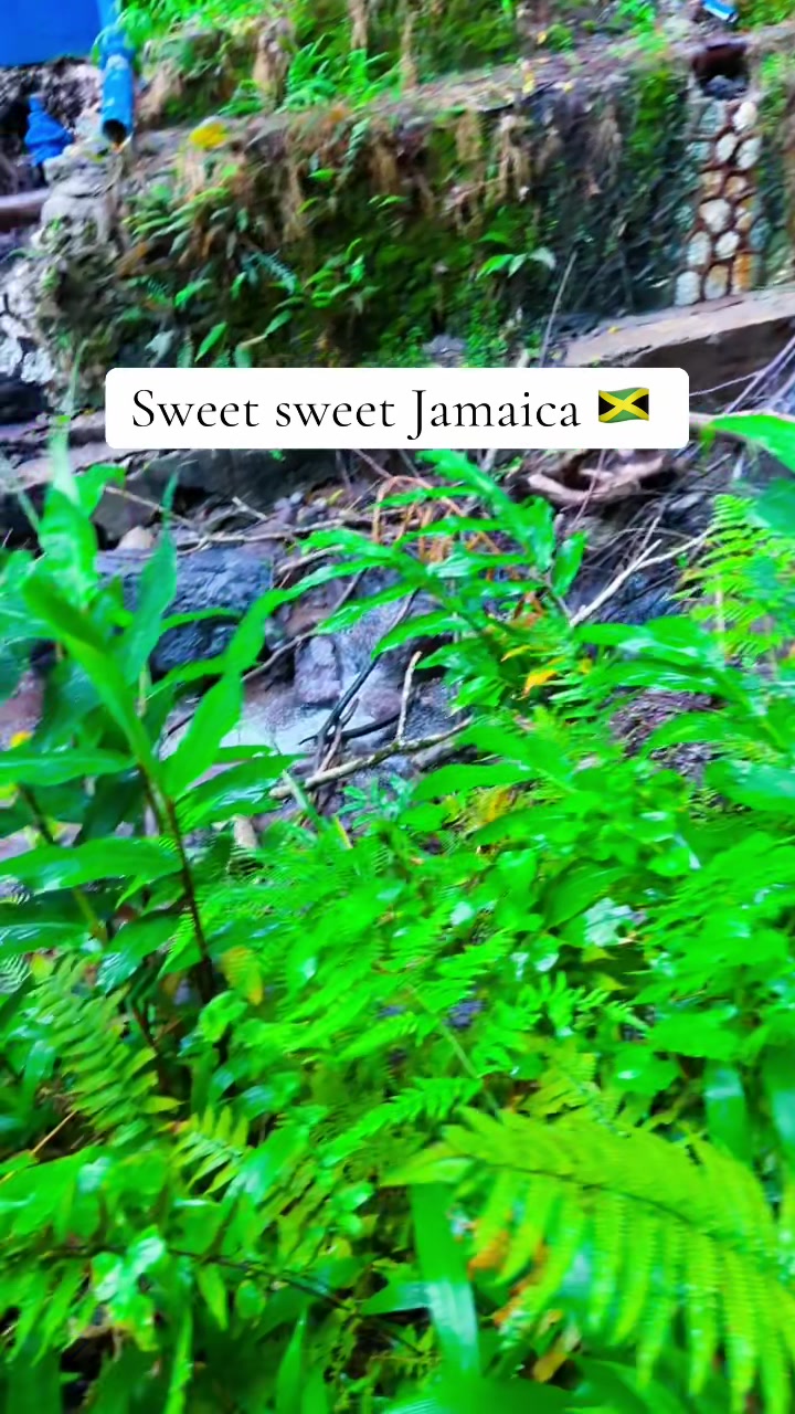 @1ankle pon eh app