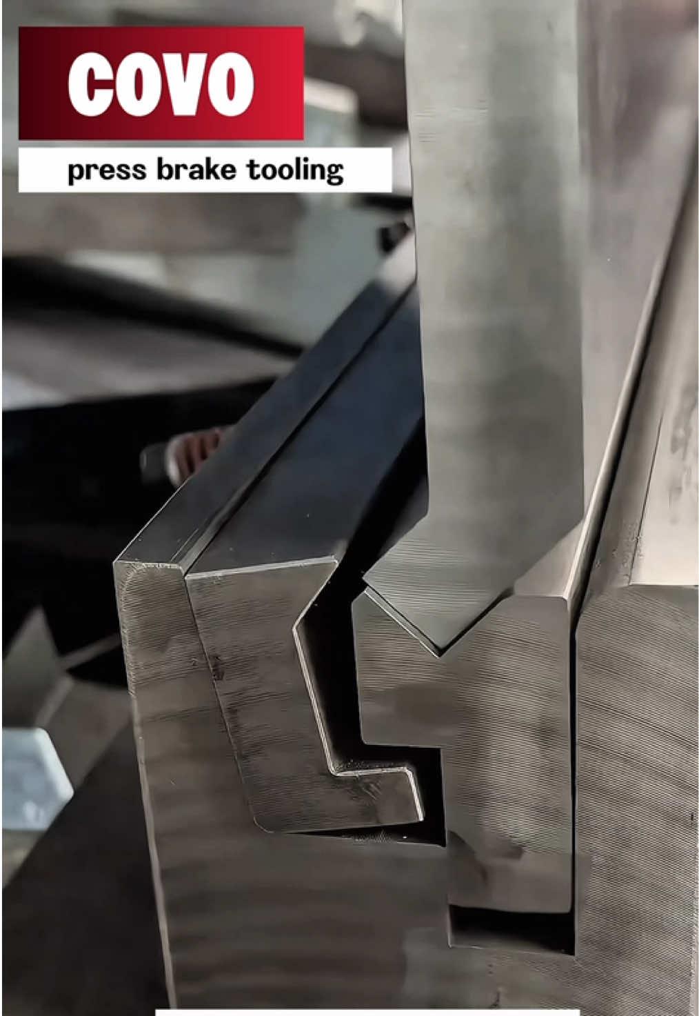 @COVO Bending Dies-Romee