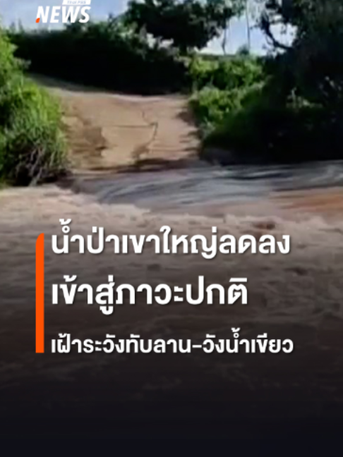 @Thai PBS news