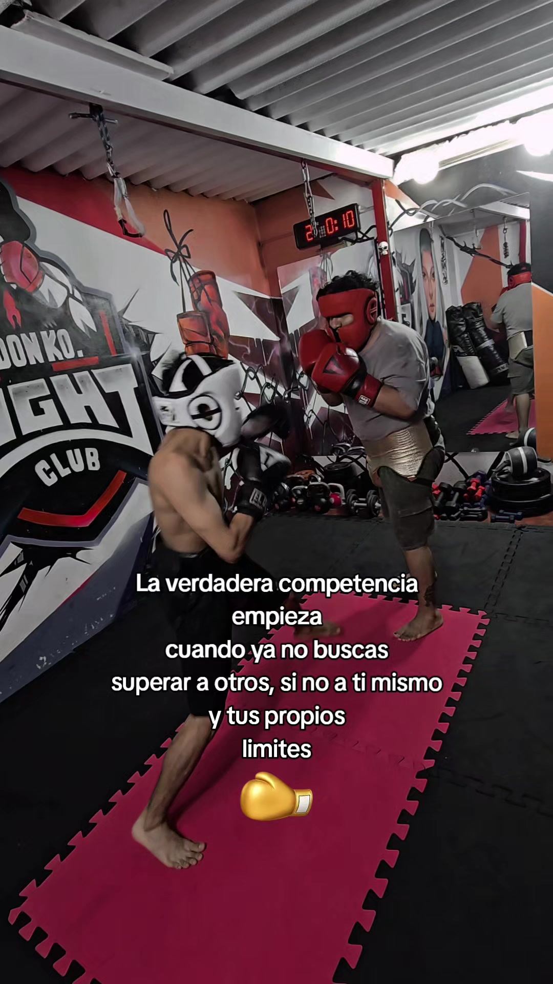 @EL DON K.O.🥊