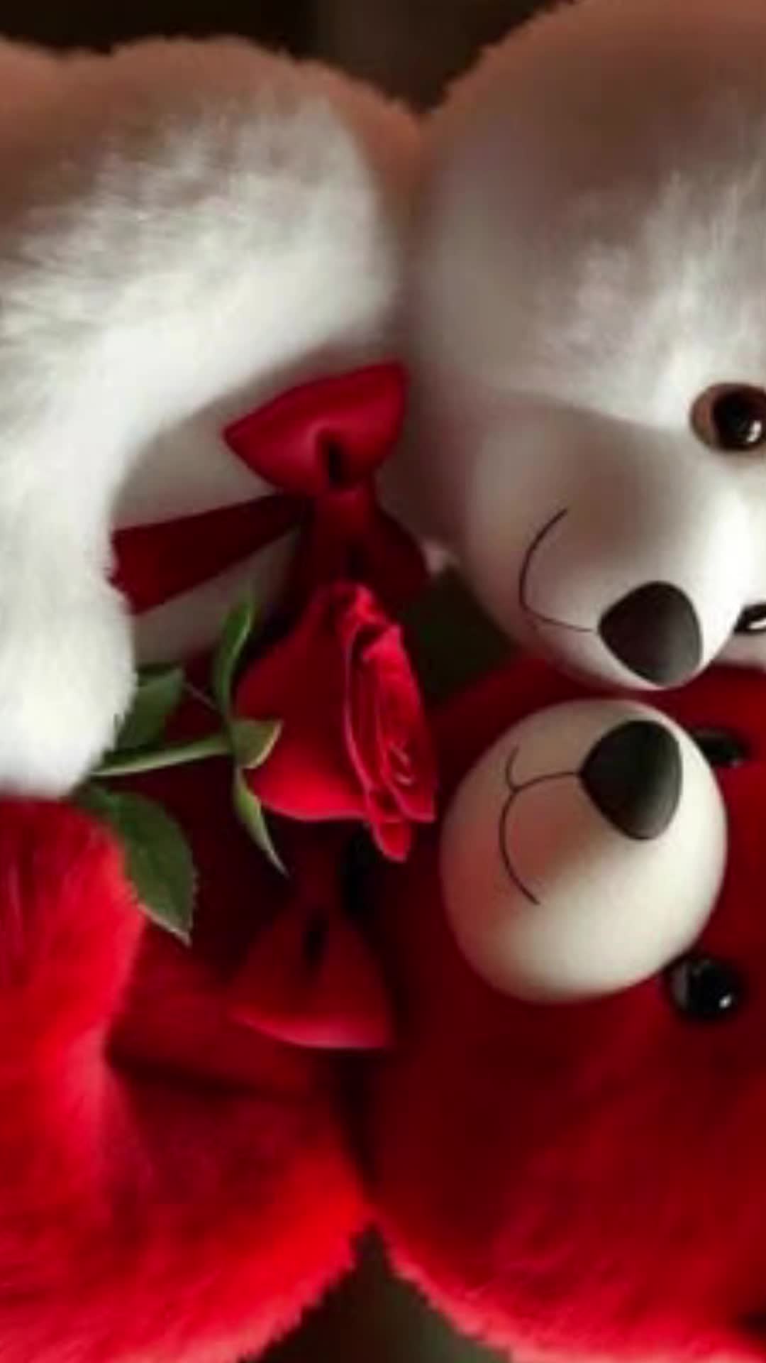 @lovely ✪
